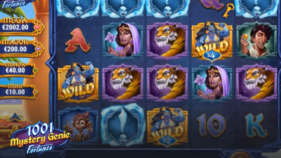 1001 미스터리 지니 포춘스