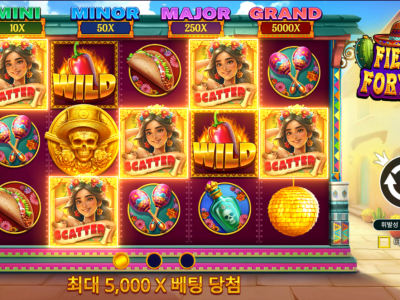 포춘 파티 (Fiesta Fortune)